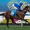 Вторая победа Winx в скачке W.S. Cox Plate Stakes.