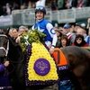 Tepin не будет участвовать в скачке Longines Hong Kong Mile.