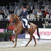 Международный турнир Mechelen CDI5* лишен своего статуса. 