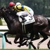 Первая победительница в потомстве Frankel.
