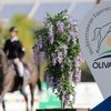 Турнир по конкуру стартовал в "Олива Нова" 