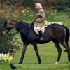 Лошадь в подарок на 90-летие
