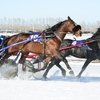 На Алтае прошел заезд на Приз «Губернатора Алтайского края»