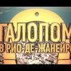 «Галопом в Рио-де-Жанейро»: первый день в конюшне 