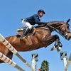 Успехи российских конкуристов на Toscana Tour CSI 3*