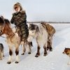 Табунное коневодство в Якутии получило поддержку на государственном уровне.