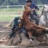 Американские ковбои сыграют в кокпар в Астане.