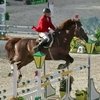 Австрийца дисквалифицировали за жестокое обращение с лошадью