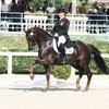 Итоги выступления россиян на турнире по выездке CDI4* в Фритценс-Шиндорфе.