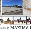 "Конная Россия" переезжает в Maxima Park