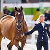 Грейвс Лора: «Единорог» среди лошадей