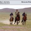 На немецком телевидении показали документальный фильм про русских лошадей.