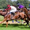 В Приморье появится ипподром с тотализатором