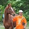 В результате несчастного случая скончался председатель Федерации конного спорта Липецкой области Сергей Козлов