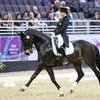 Российские выездковые пары в топ-100 ежемесячного рейтинга FEI.