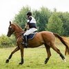 Календарь российских международных турниров 2018 года.