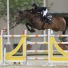 CSI 5* Doha (Qat)