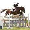 CSI 5* Ghantoot (UAE)