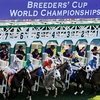 Breeders' Cup уже на этой неделе.