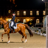 Организаторы турнира World Dressage Masters объявлены банкротами.