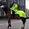 Полицейская лошадь погибла во время патрулирования.