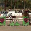 Лошадь Владимира Туганова выиграла маршрут CSI3* в Шардже