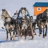 Самая широкая и богатая масленица страны — на Алтае!