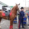 На выборы с конем