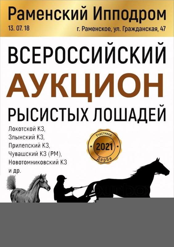 На Раменском ипподроме пройдет Всероссийский аукцион рысистых лошадей