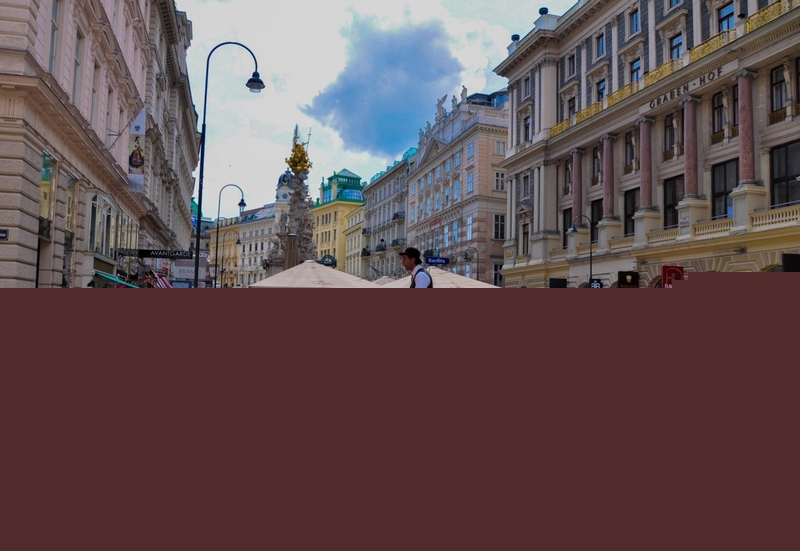 Лошадей в Вене переобуют в пластиковые подковы