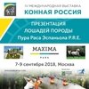 Гостям "Конной России" покажут андалузов