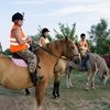 В Волгоградской области появится конно-поисковый отряд