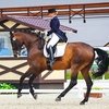 В Maxima Stables прошел первый международный турнир по выездке уровня CDI-4*/2*