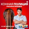 ТНТ расскажет о буднях конной полиции