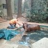 Лошадь спаслась от пожара в бассейне