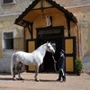 Старинные конные заводы Европы: Традиции через века // ЗМ №6 (108) 2011
