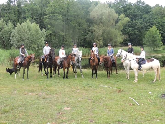 В Калининграде создан конный поисковый отряд