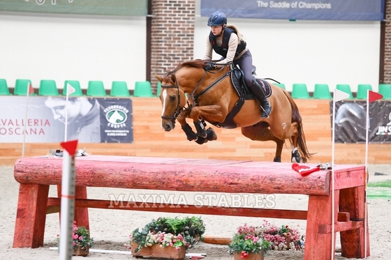 Учебно-тренировочные сборы по троеборью, Maxima Stables