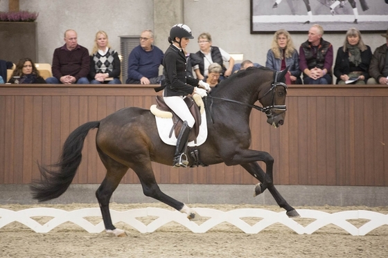 Анна Каспржак вернет лошадь Хельгстранду