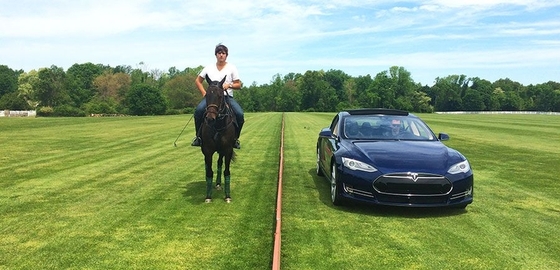 Tesla Model S проиграла лошади