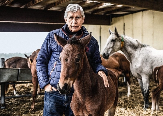 Пауль Шокемюлле оценил влияние эпидемии коронавируса на конные продажи