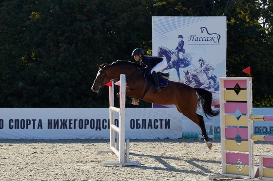 Чемпионат и Первенство Нижегородской области по конкуру прошли в КСК «Пассаж» 