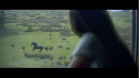 Вороной конь и английские пейзажи в новом рекламном ролике Lloyds Bank