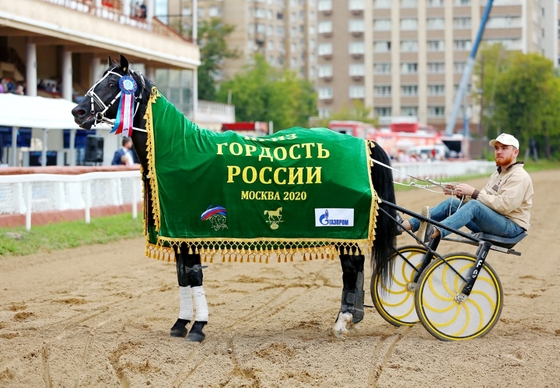 Победы лошадей Московского конного завода №1