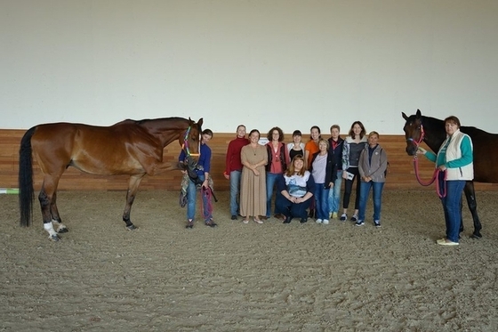 Мастер-класс по Natural Horsemanship пройдет в КСК «Пегас» 