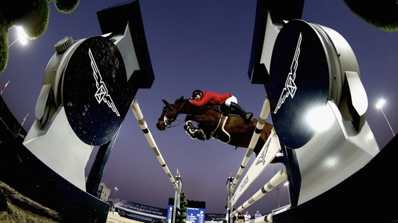 Конный спорт в ОАЭ возобновится с января