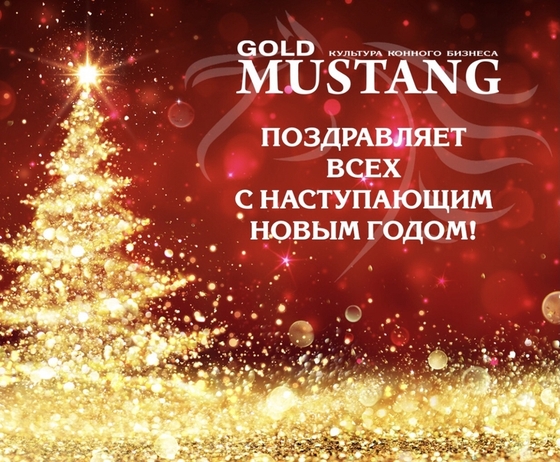 Gold Mustang поздравляет всех с наступающим Новым годом! 