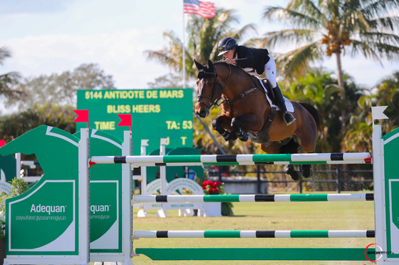 Блисс Хирс одержала победу в CSI4* в Веллингтоне 