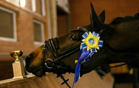 Раскол в украинской Федерации конного спорта 
