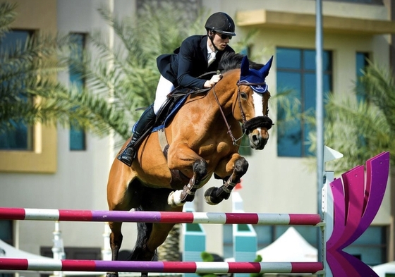 В Португалии продолжается конкурный турнир CSI3* 